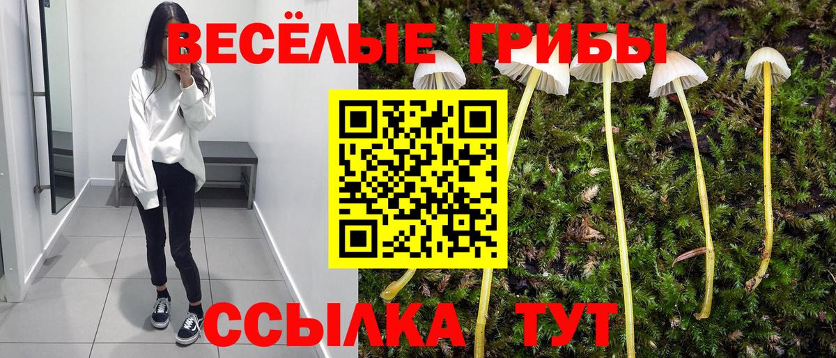 Галлюциногенные грибы Psilocybe  Галлюциногенные грибы Psilocybine cubensis  Красноармейск  Вход с VPN 