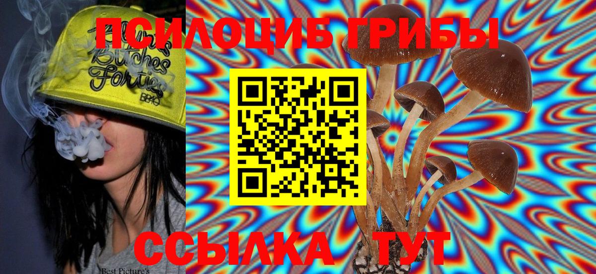 Галлюциногенные грибы Psilocybine cubensis Красноармейск